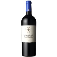 Vino Neyen Ensamblaje 750cc