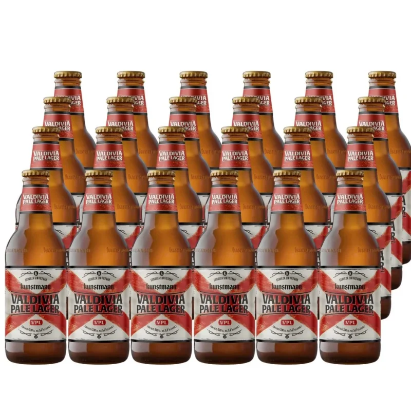 cerveza valdivia pale lager 330cc