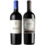 Pack Vinos Iconos N°1 Neyen y Cabo de Hornos