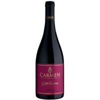 6 Vinos Carmen Gran Rsva Carignan 750cc
