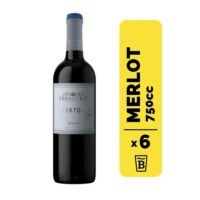 6 Vino Errázuriz Corton 1870 Merlot 750cc