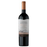 Vino Castillo de Molina Gran Rsva Carmenere 750cc