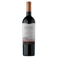 Vino Castillo de Molina Gran Rsva Cabernet Sauvignon 750cc