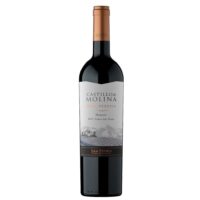 Vino Castillo de Molina Gran Rsva Merlot 750cc