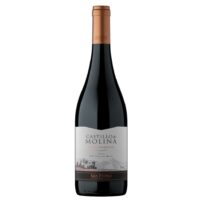 Vino Castillo de Molina Gran Rsva Syrah 750cc