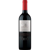 Vino 1865 Selected Vineyard Carmenere 750cc