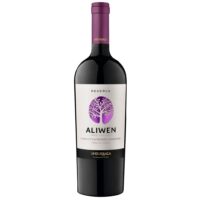 6 Vino Aliwen Rsva Cabernet Sauvignon/Carmenere 750cc