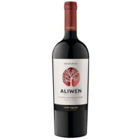 Vino Aliwen Rsva Cabernet Sauvignon/Syrah 750cc