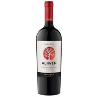 6 Vino Aliwen Rsva Cabernet Sauvignon 750cc