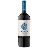 Vino Aliwen Rsva Merlot 750cc