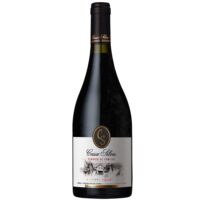 Vino Casa Silva Terroir de Fam Rva Syrah 750cc