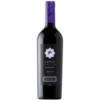 Vino Santa Ema Amplus Marselan 750cc