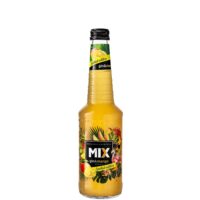 12 Cocktail Mix Gin&Mango 330cc
