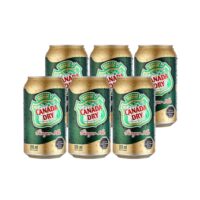 6 Bebida Canada Dry Ginger Ale 350cc