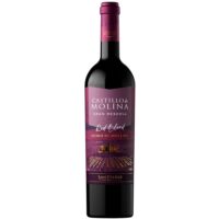 Vino Castillo de Molina Red Blend 750cc