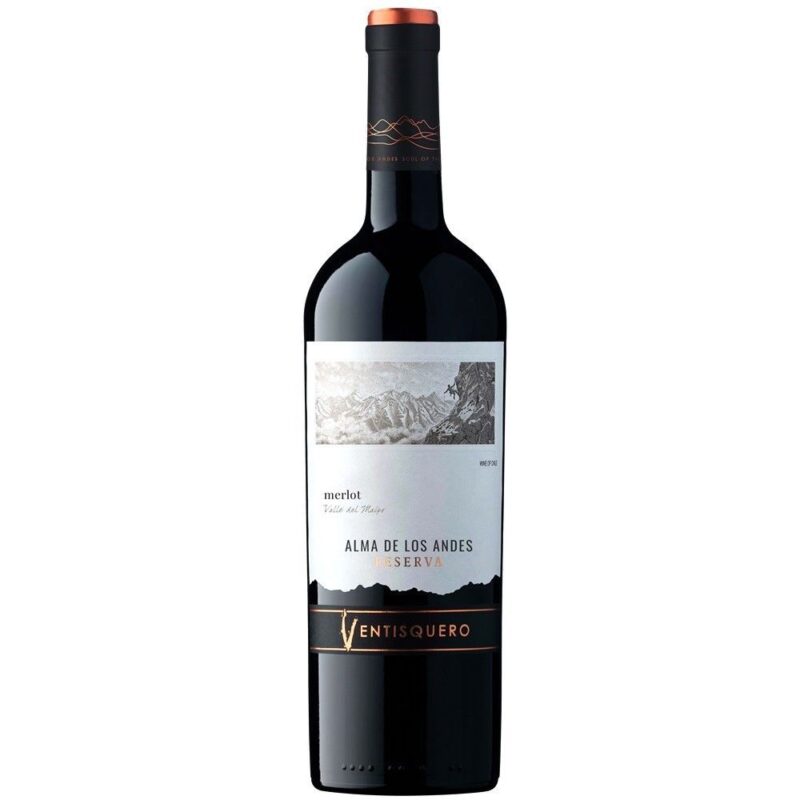Vino Ventisquero Alma de los Andes Merlot 750cc