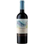Vino Ventisquero Queulat Gran Reserva Cabernet Sauvignon 750cc