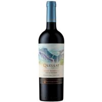 Vino Ventisquero Queulat Gran Reserva Cabernet Sauvignon 750cc