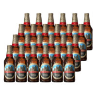 24 Cervezas Austral Torres del Paine 330cc