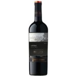 Vino Ventisquero Alma de los Andes Red Blend 750cc