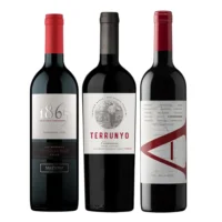 Pack Degustación Vinos Carmenere x3 - Selección 3